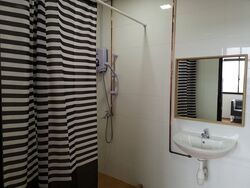 Tan Tong Meng Tower (D11), Apartment #480485261